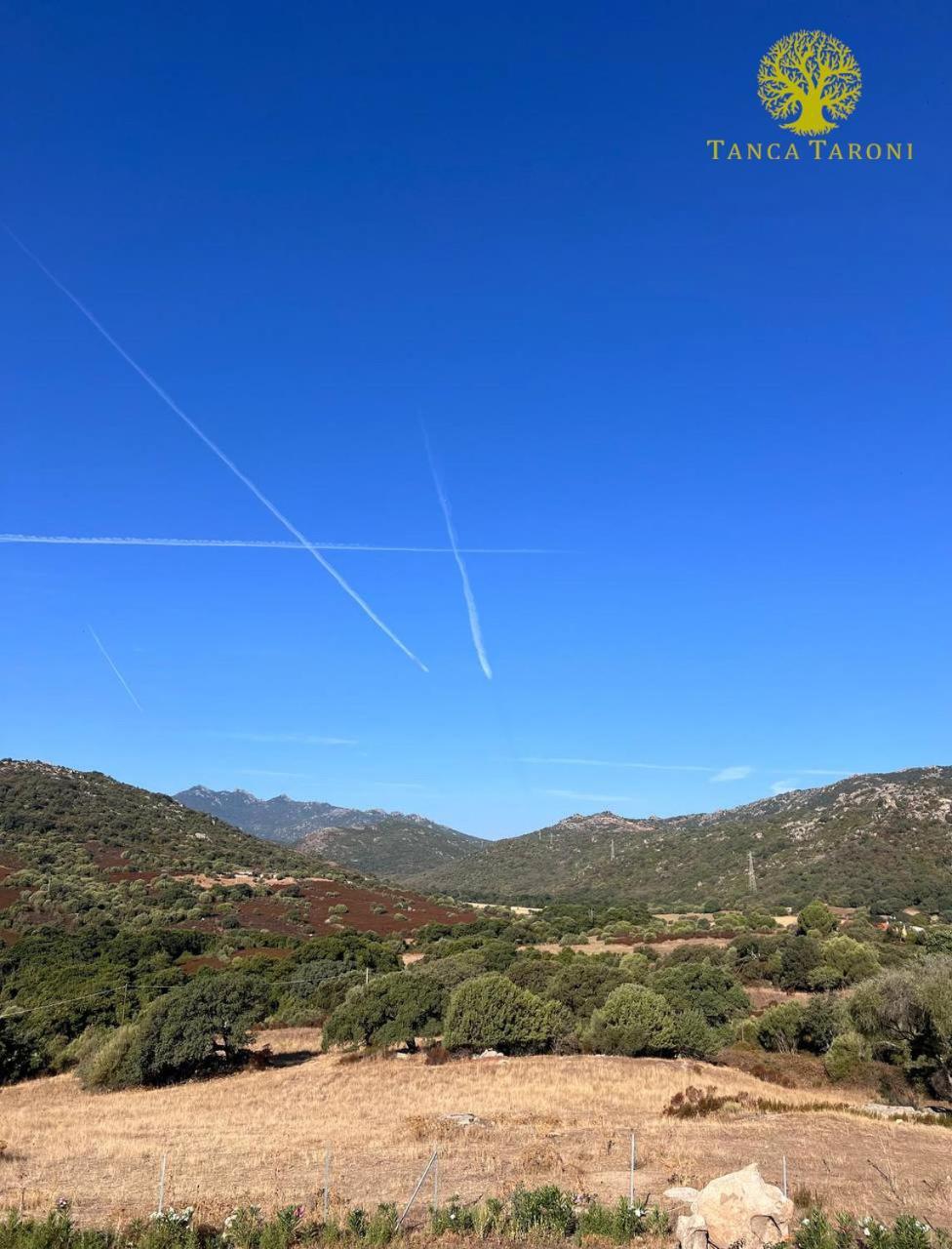 Telti Agriturismo Bed And Breakfast Tanca Taroni מראה חיצוני תמונה