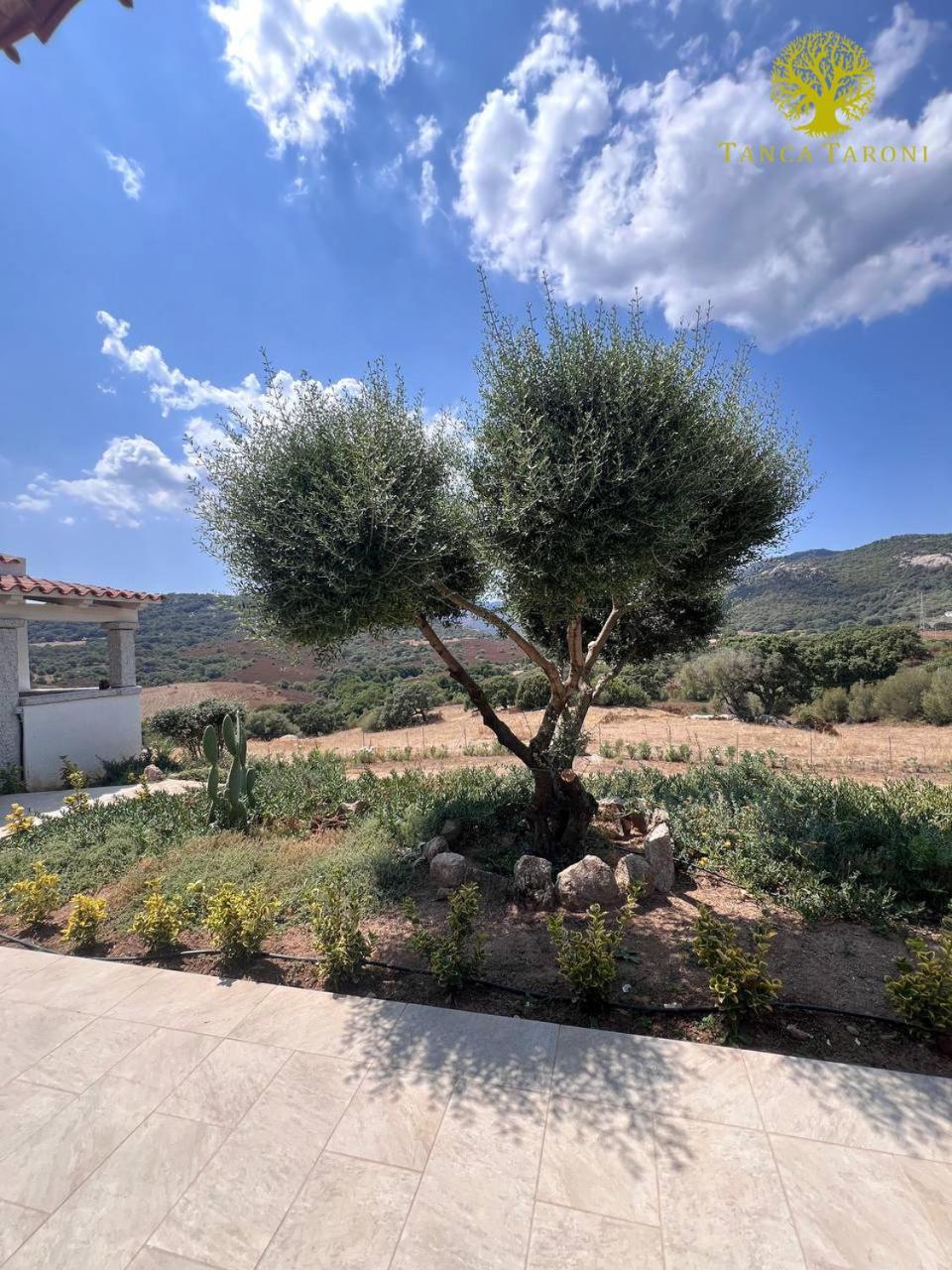Telti Agriturismo Bed And Breakfast Tanca Taroni מראה חיצוני תמונה