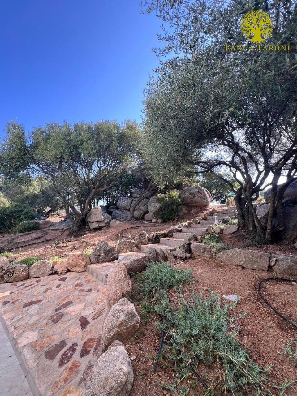Telti Agriturismo Bed And Breakfast Tanca Taroni מראה חיצוני תמונה