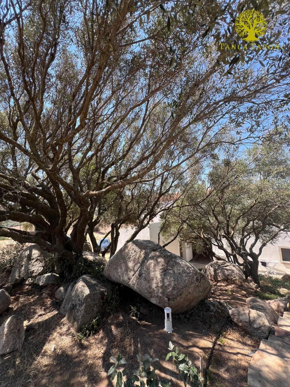 Telti Agriturismo Bed And Breakfast Tanca Taroni מראה חיצוני תמונה