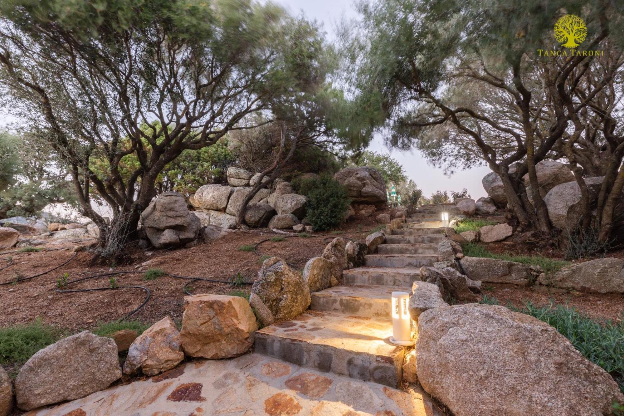 Telti Agriturismo Bed And Breakfast Tanca Taroni מראה חיצוני תמונה