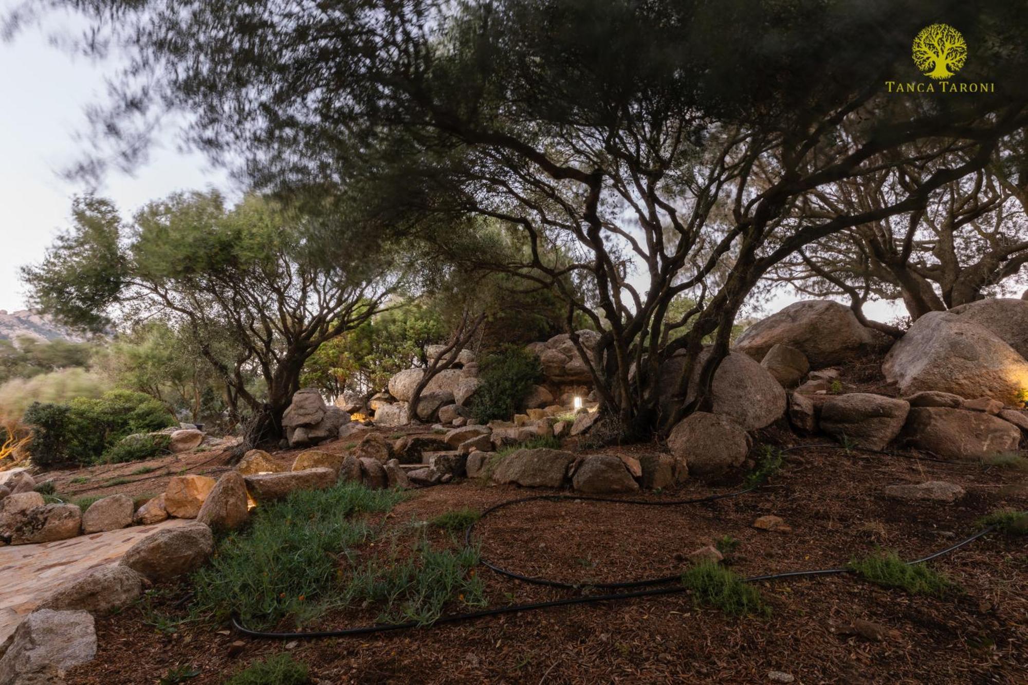 Telti Agriturismo Bed And Breakfast Tanca Taroni מראה חיצוני תמונה