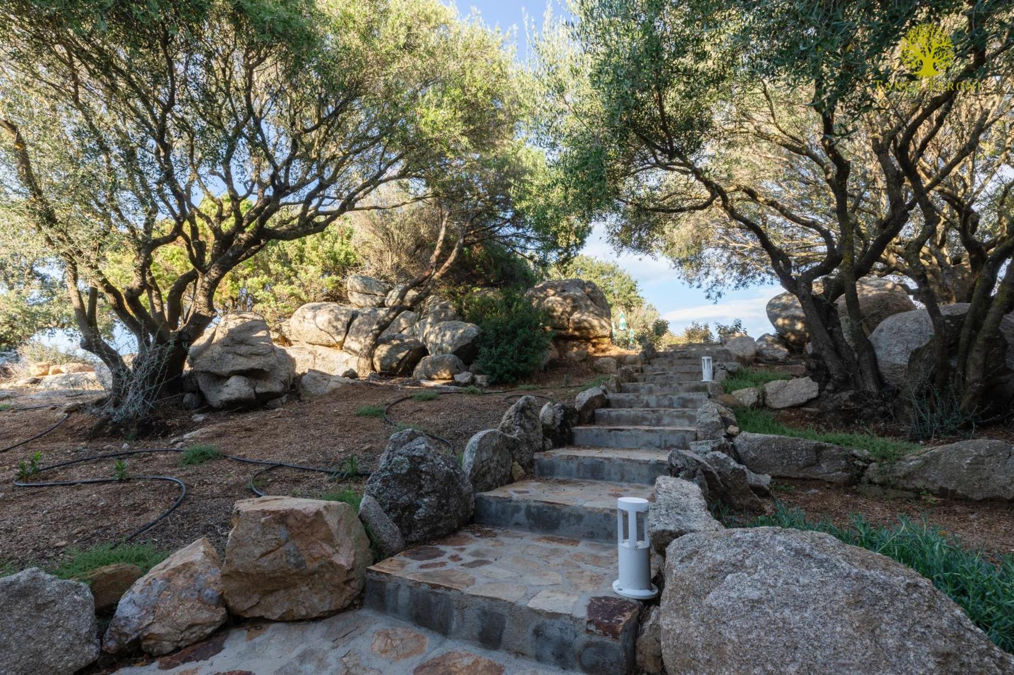 Telti Agriturismo Bed And Breakfast Tanca Taroni מראה חיצוני תמונה