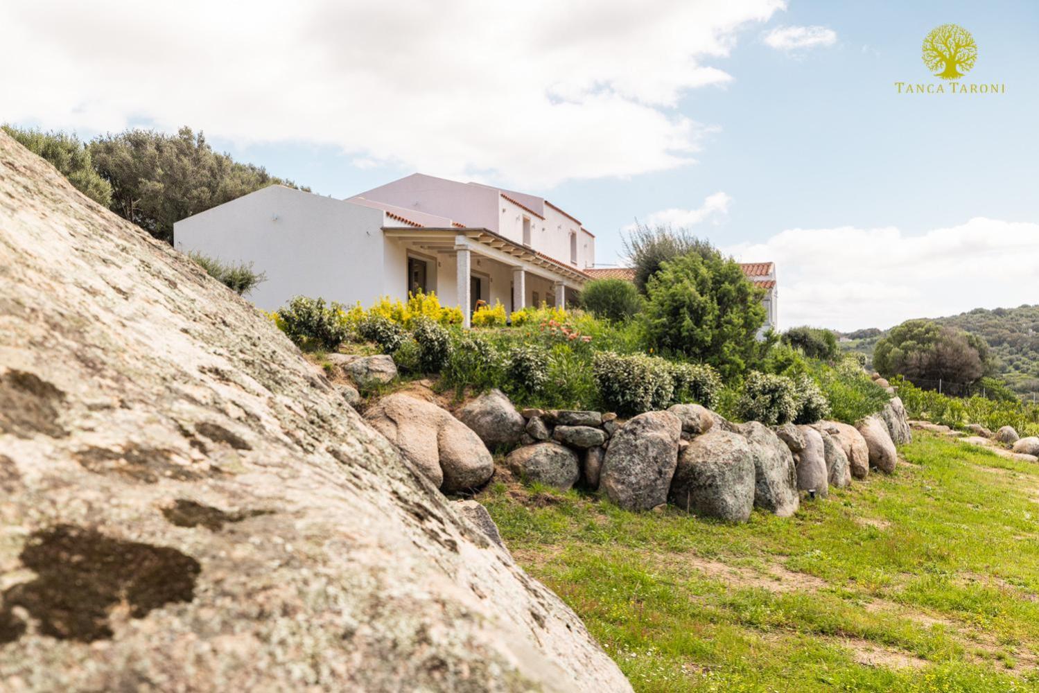 Telti Agriturismo Bed And Breakfast Tanca Taroni מראה חיצוני תמונה