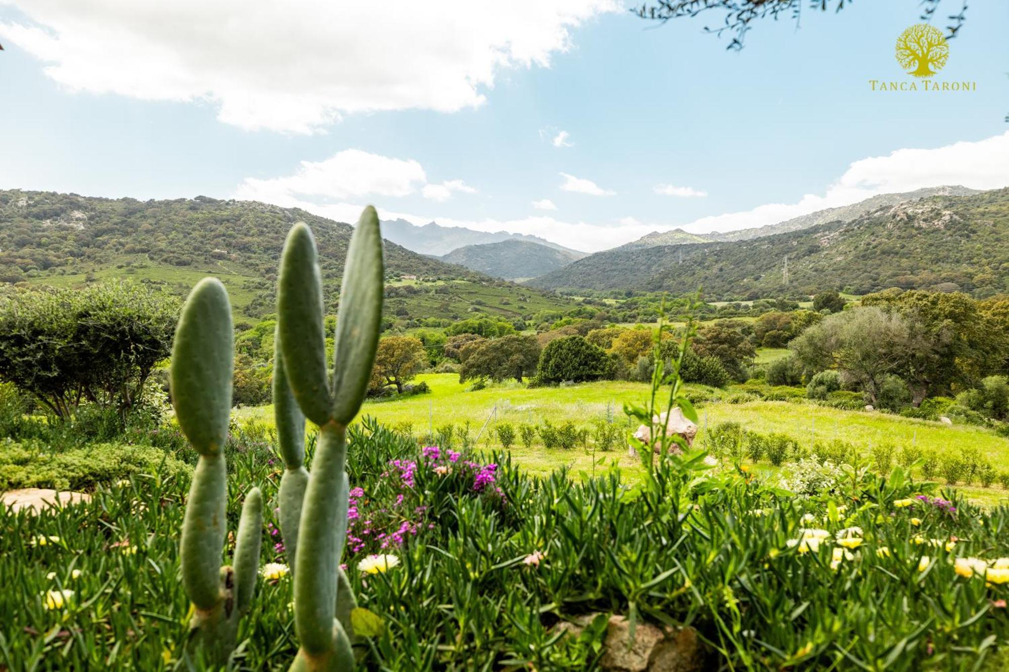 Telti Agriturismo Bed And Breakfast Tanca Taroni מראה חיצוני תמונה