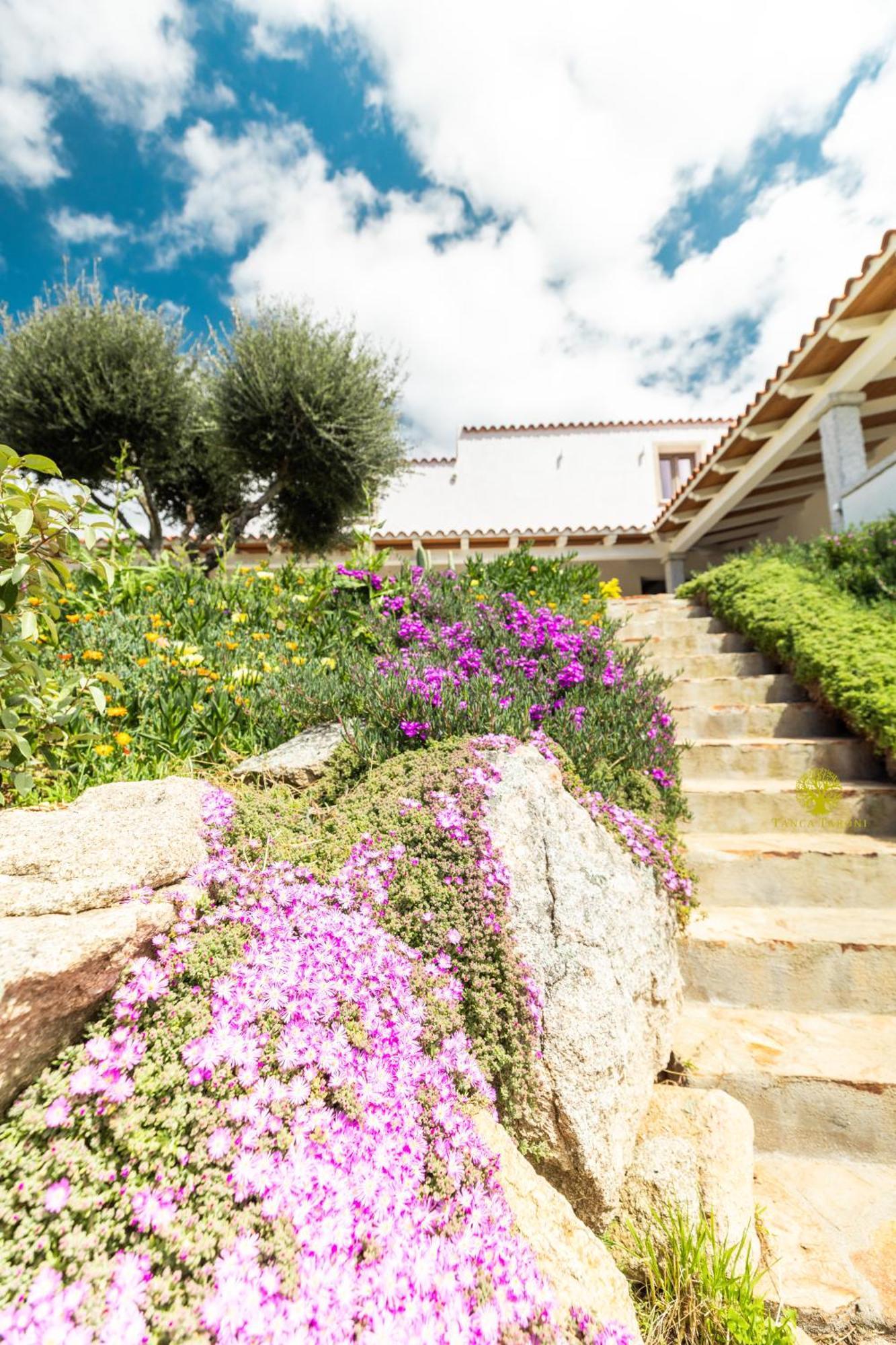 Telti Agriturismo Bed And Breakfast Tanca Taroni מראה חיצוני תמונה
