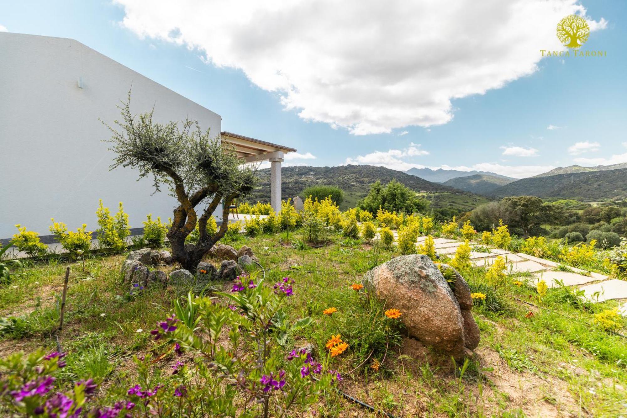 Telti Agriturismo Bed And Breakfast Tanca Taroni מראה חיצוני תמונה